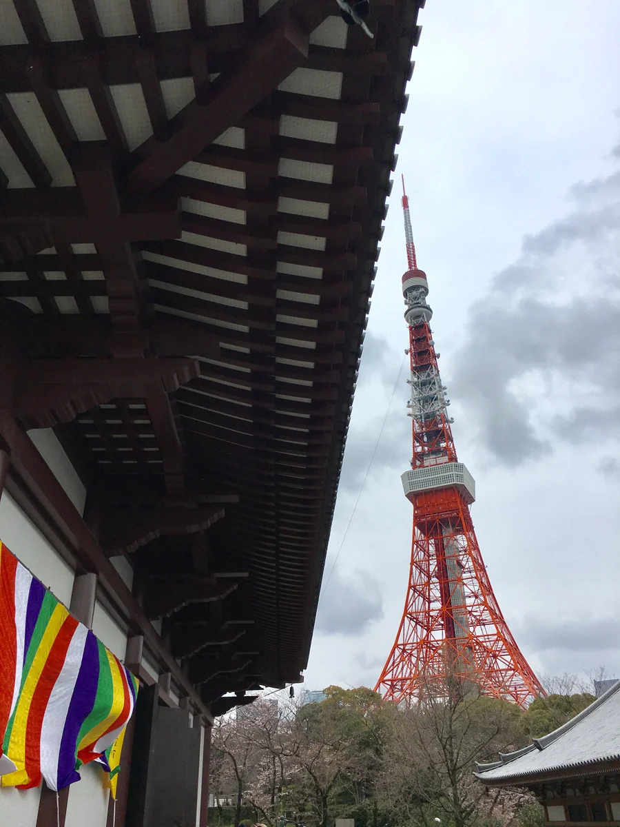 投稿写真：増上寺から見た東京タワー
