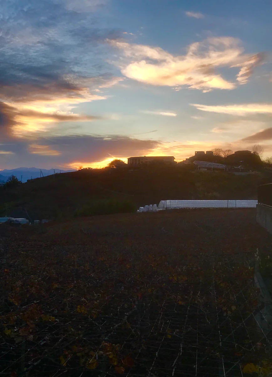 投稿写真：勝沼ぶどうの丘