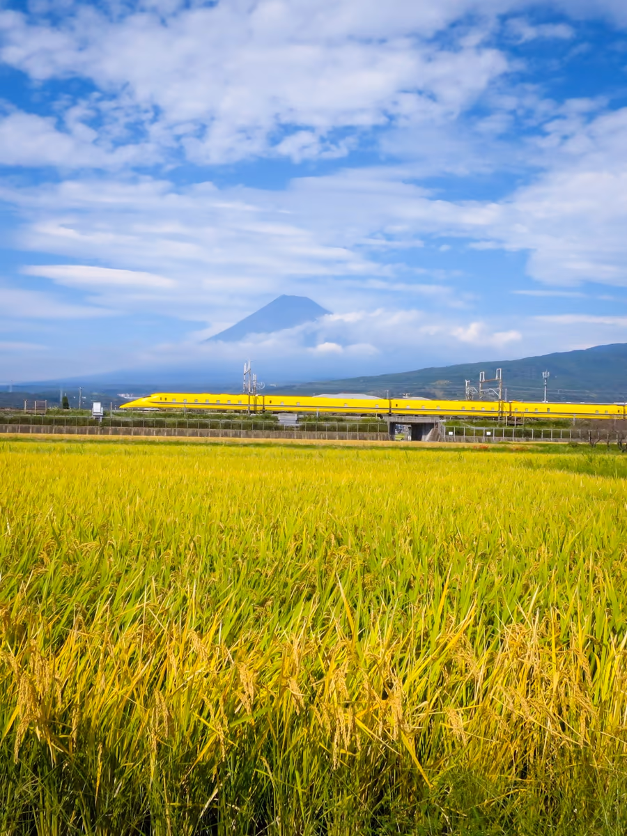 投稿写真：実りの秋を走るドクターイエローと富士山