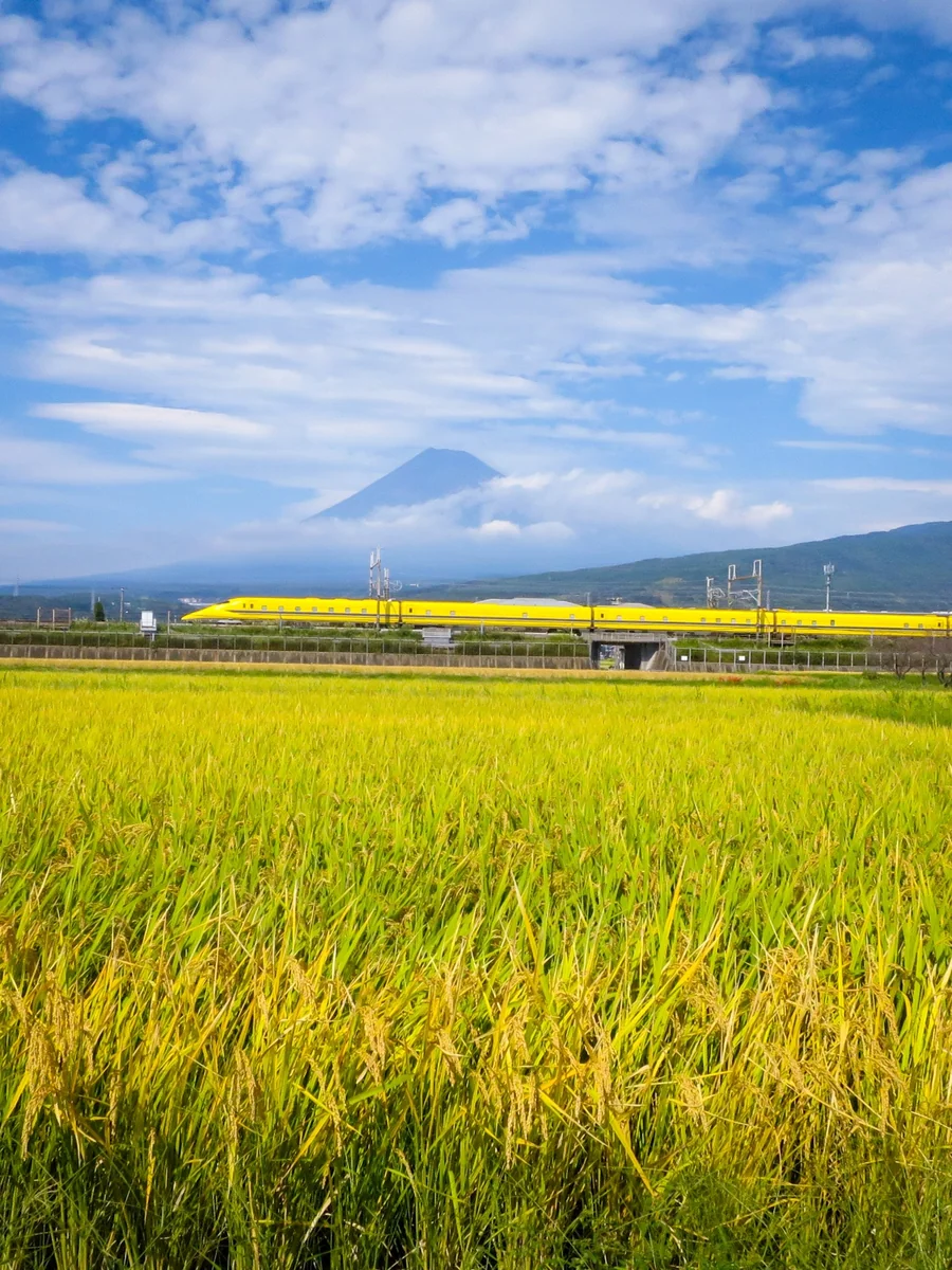 投稿写真：実りの秋を走るドクターイエローと富士山