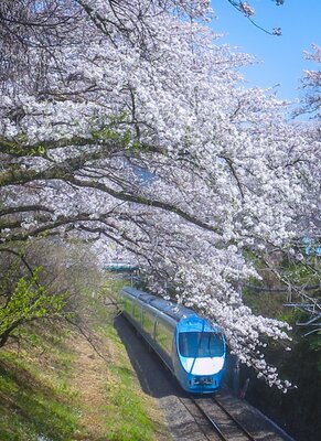  | 絶景事典