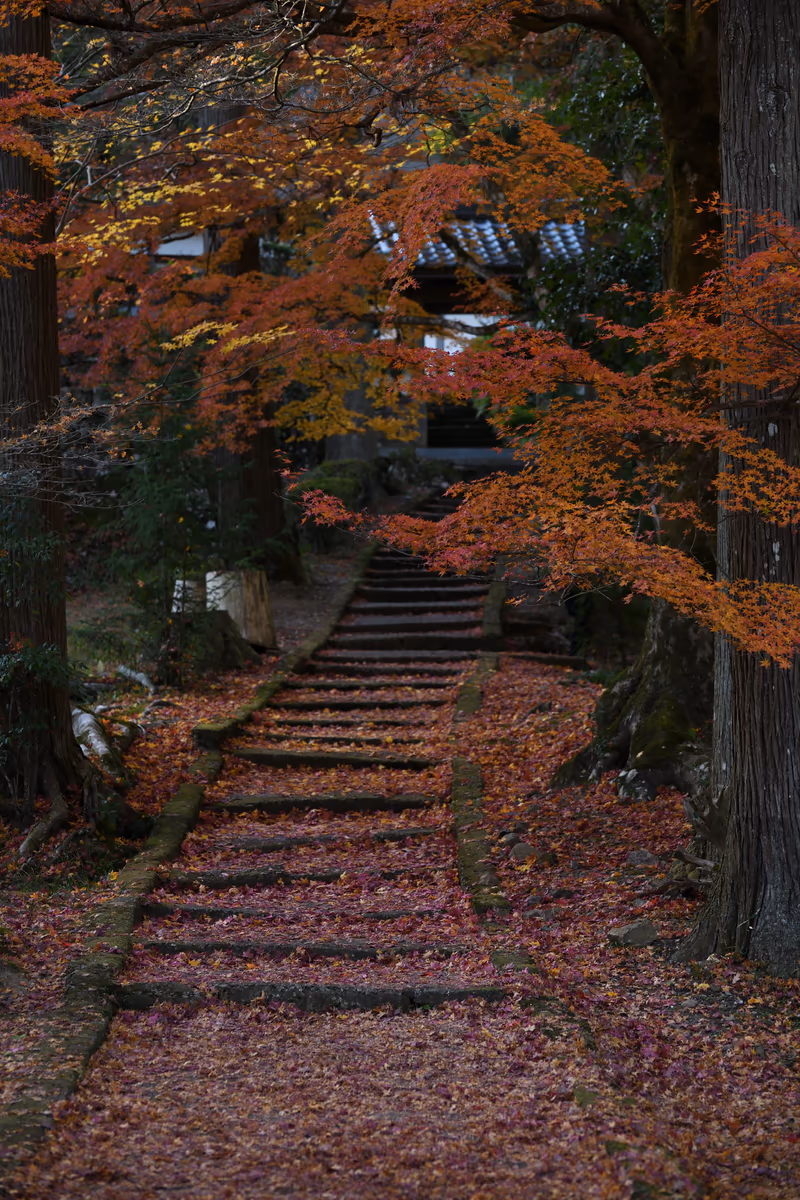 投稿写真：龍穏寺