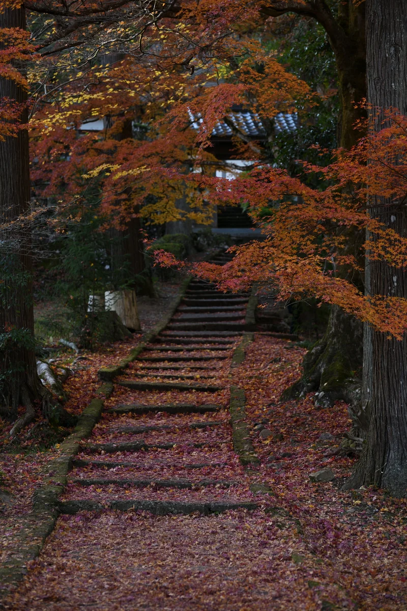 投稿写真：龍穏寺