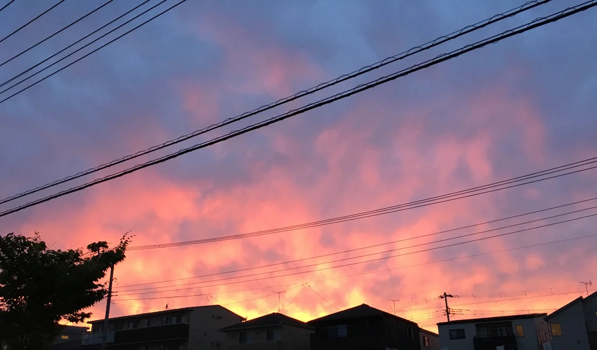 投稿写真：黄昏の焔