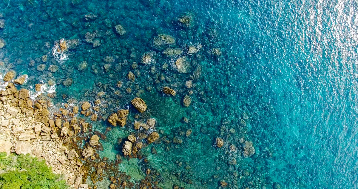 投稿写真：宮崎の澄み切った海