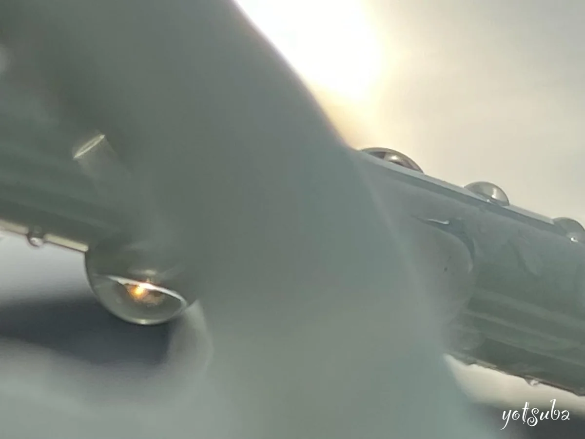 投稿写真：光と水滴