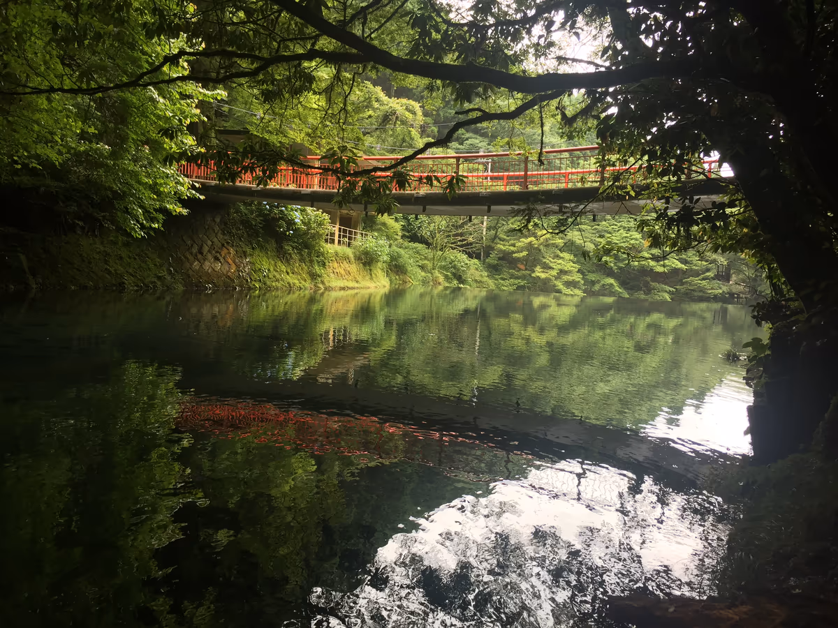 投稿写真：菊池渓谷