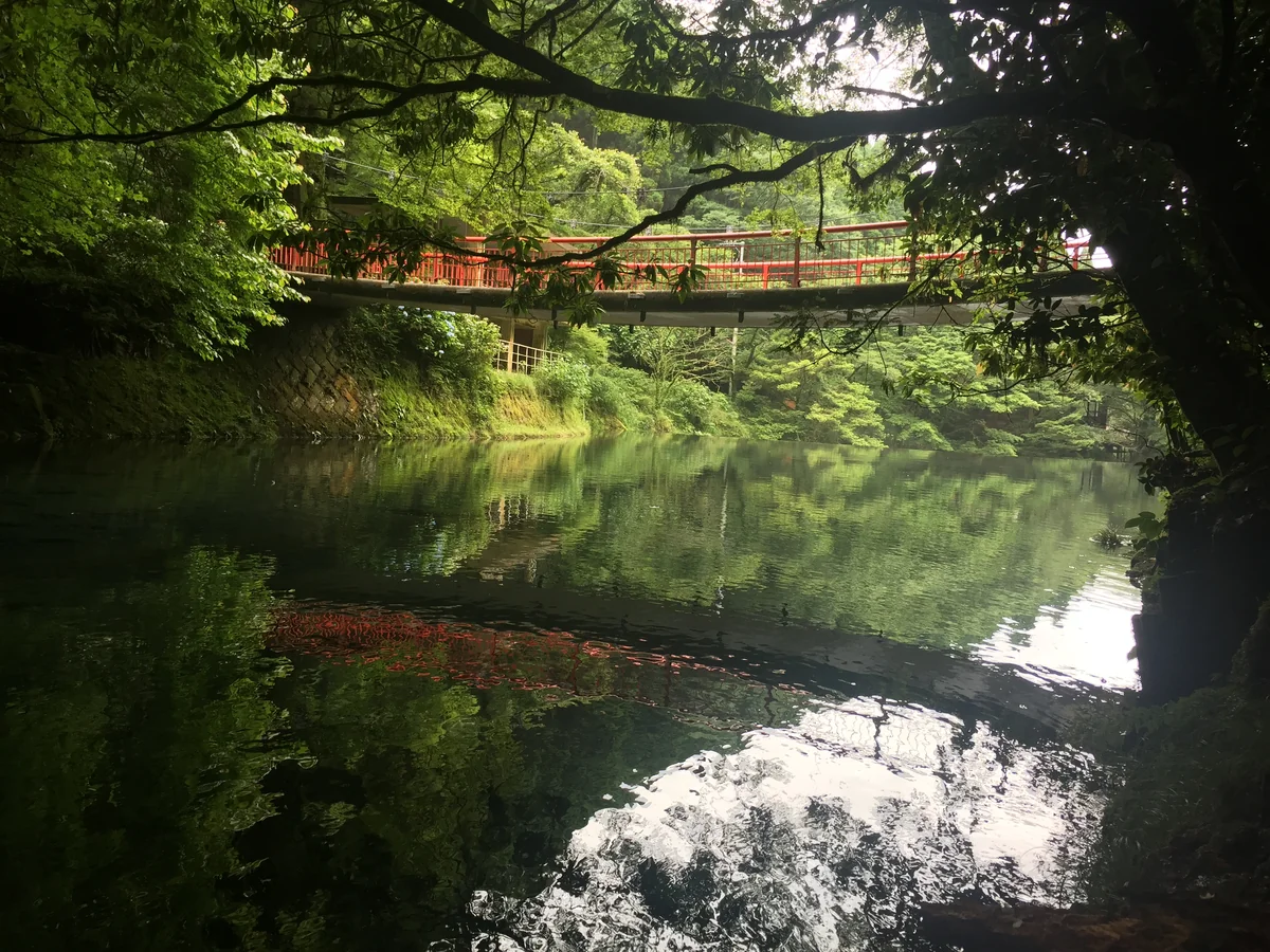 投稿写真：菊池渓谷