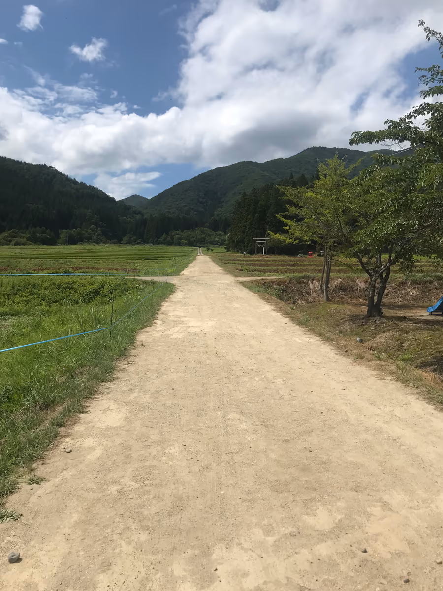 投稿写真：道