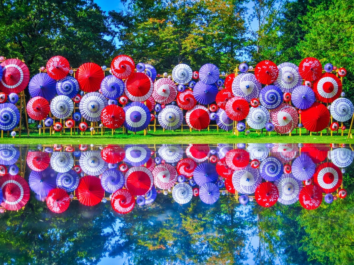 投稿写真：和傘のリフレクション