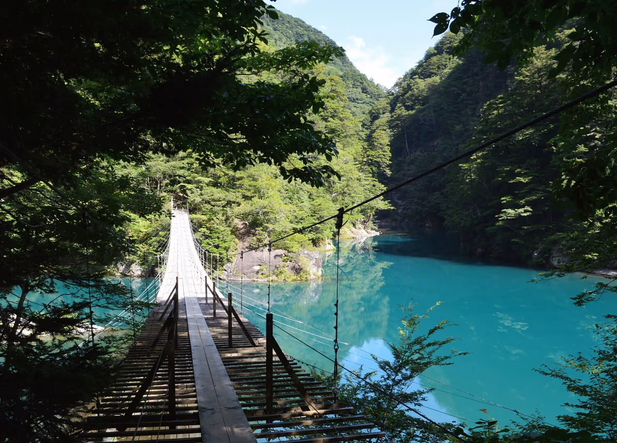 投稿写真：夢の吊り橋
