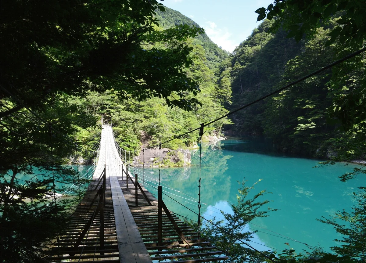 投稿写真：夢の吊り橋