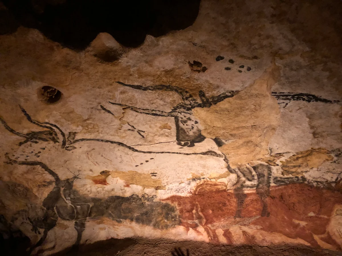 投稿写真：ラスコー2