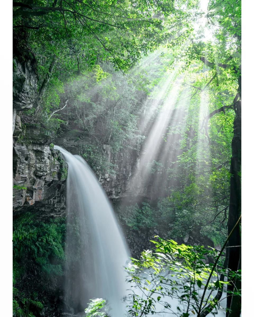 投稿写真：光り刺す