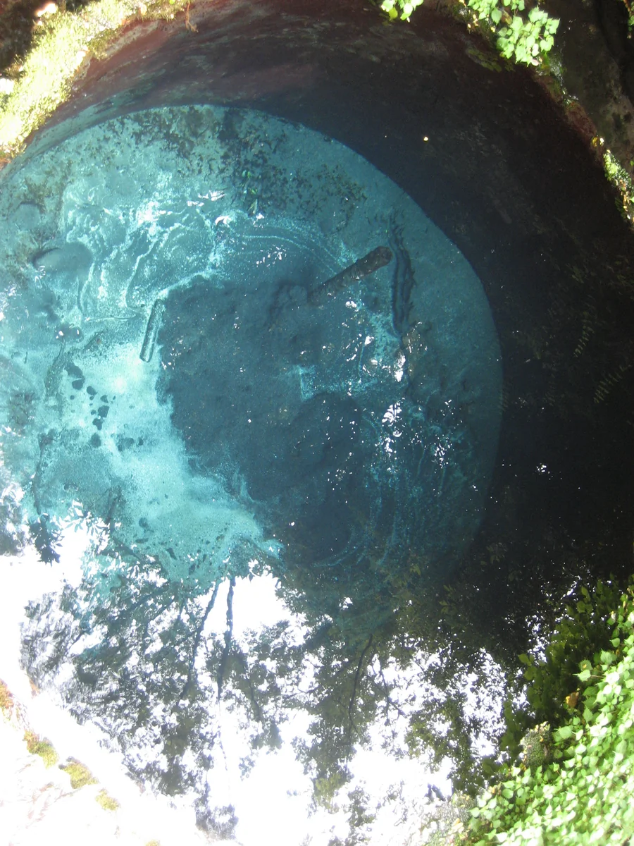 投稿写真：『昭和の名水百選』＼柿田川湧水群