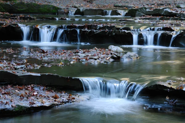投稿：梅ヶ瀬晩秋