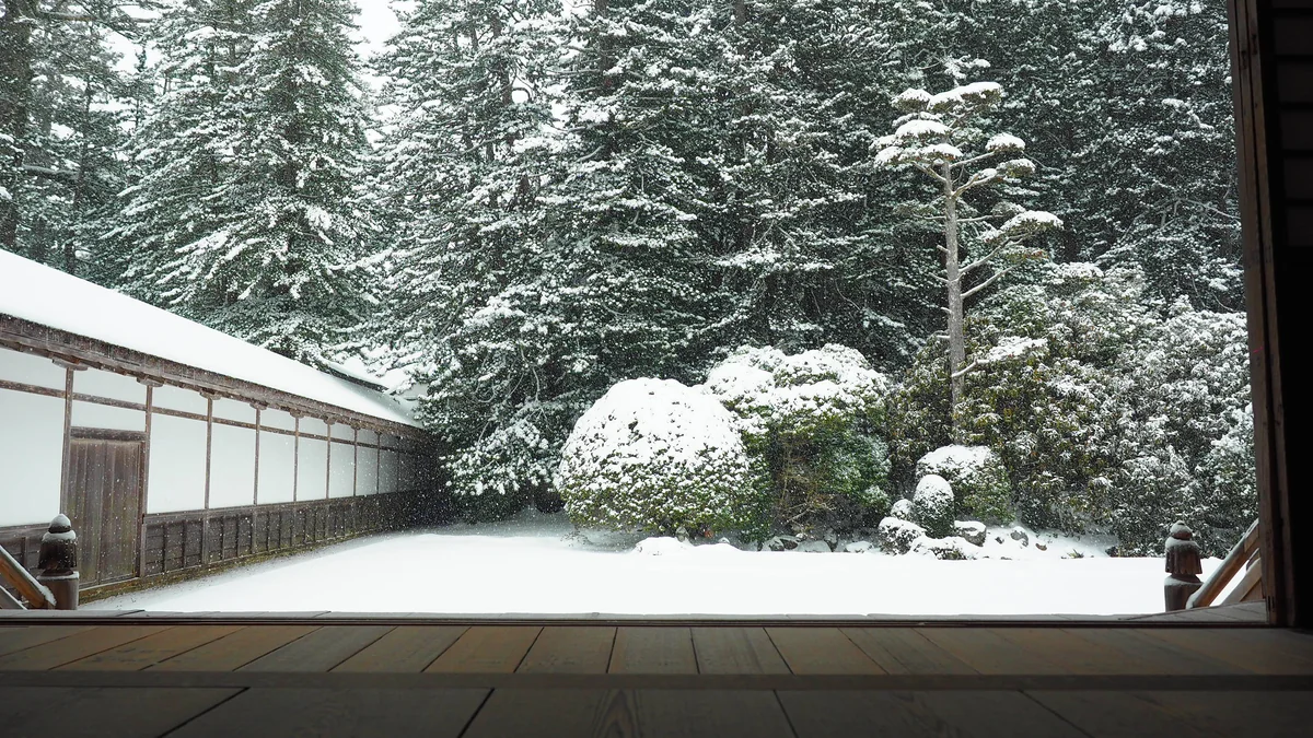 投稿写真：深々静寂