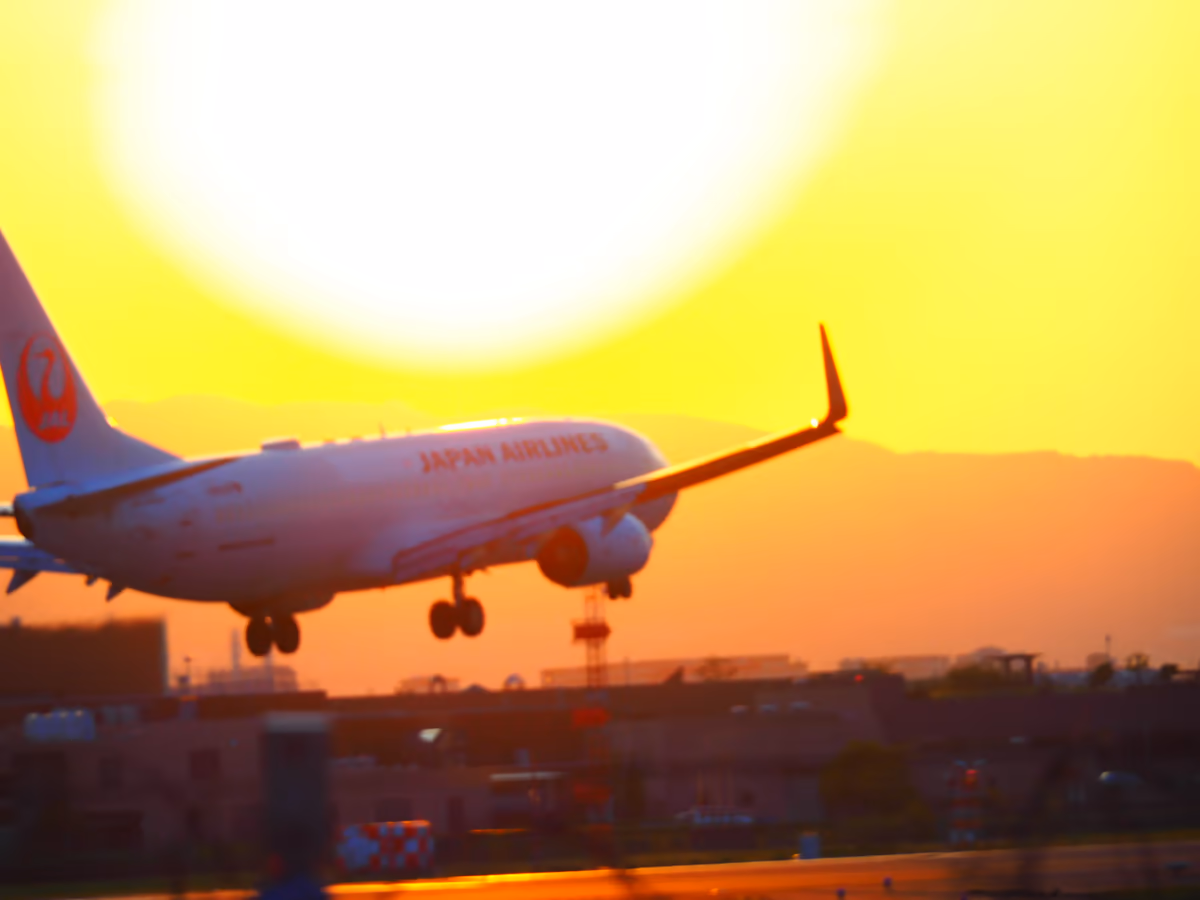 投稿写真：夕日に向かって