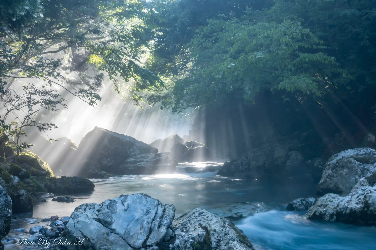 投稿写真：光のシャワー