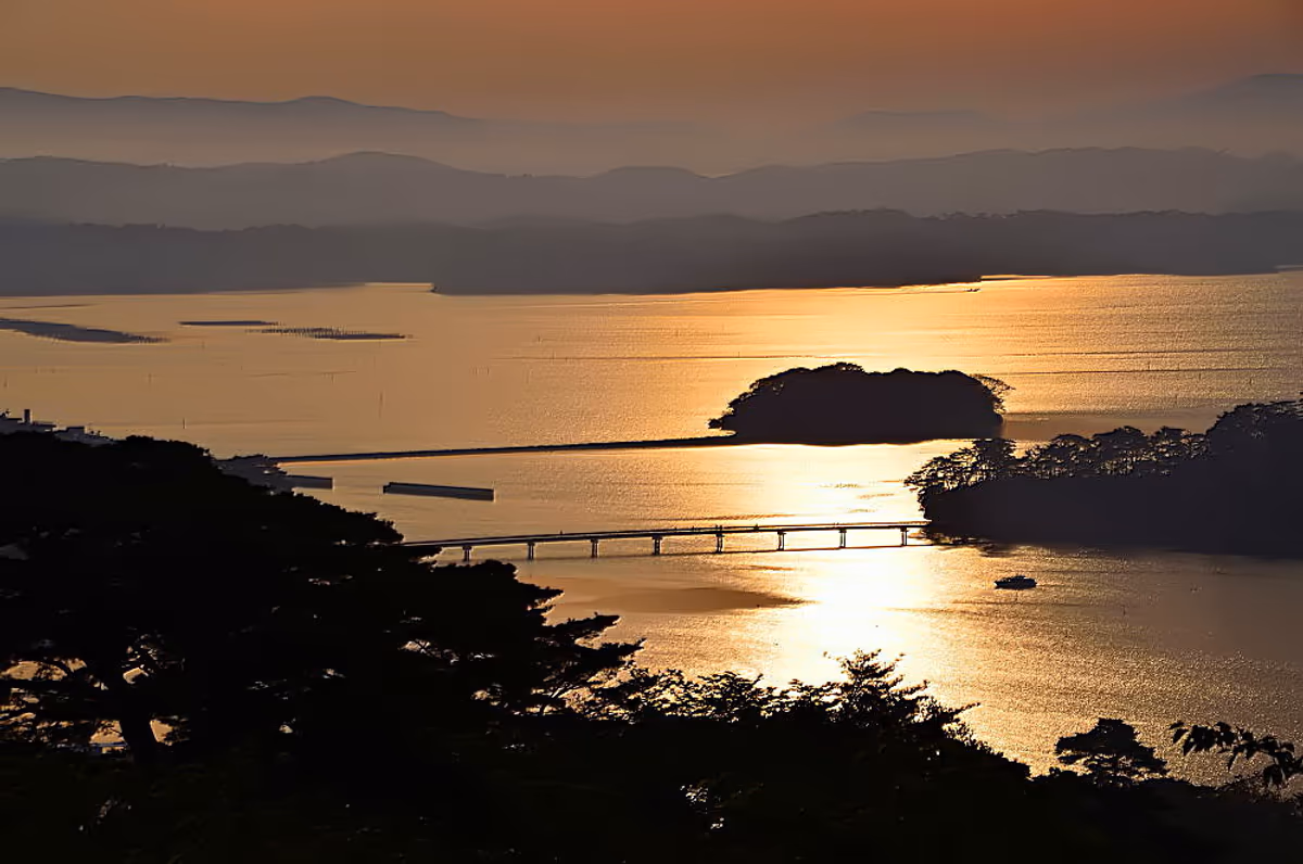 投稿写真：のたりのたり朝の松島