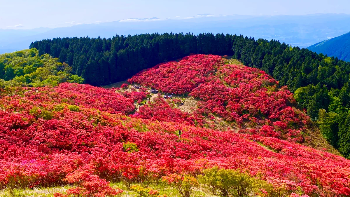 K Satine Jpさんの投稿写真