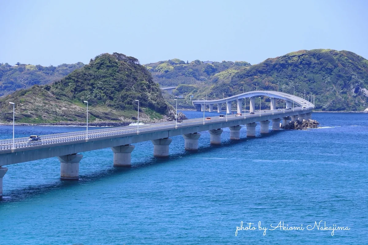 上北路人さんの投稿写真