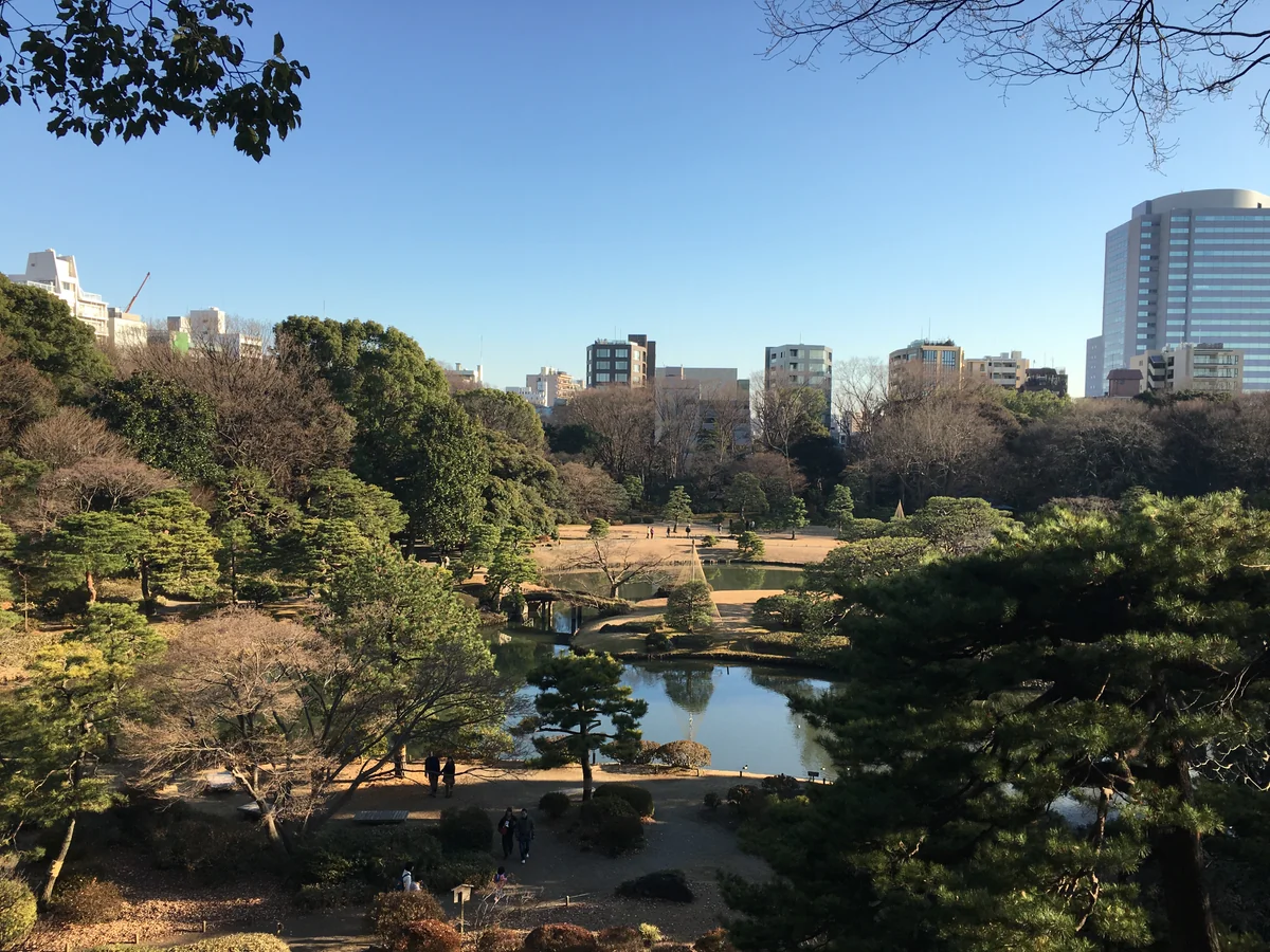 投稿写真：冬の六義園