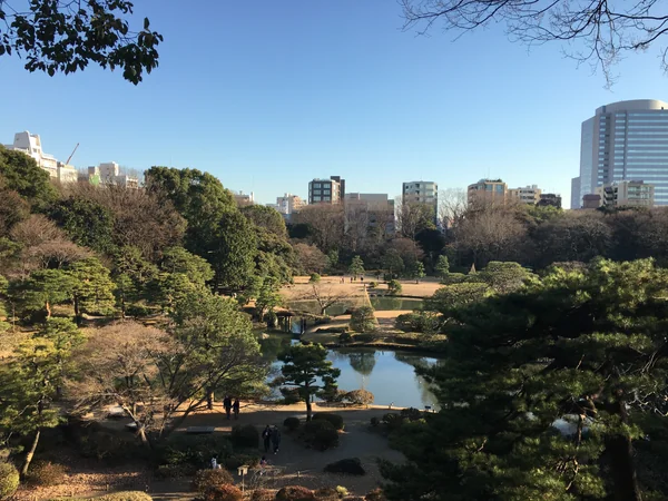 投稿：冬の六義園