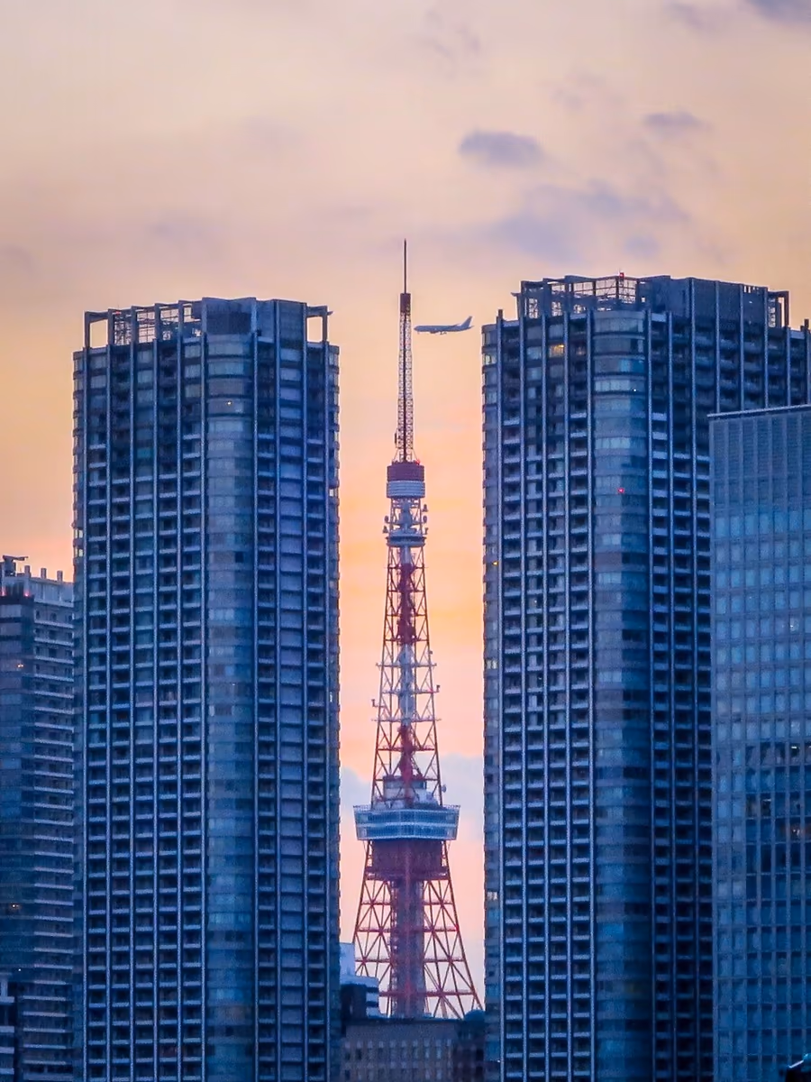 投稿写真：東京タワーと飛行機