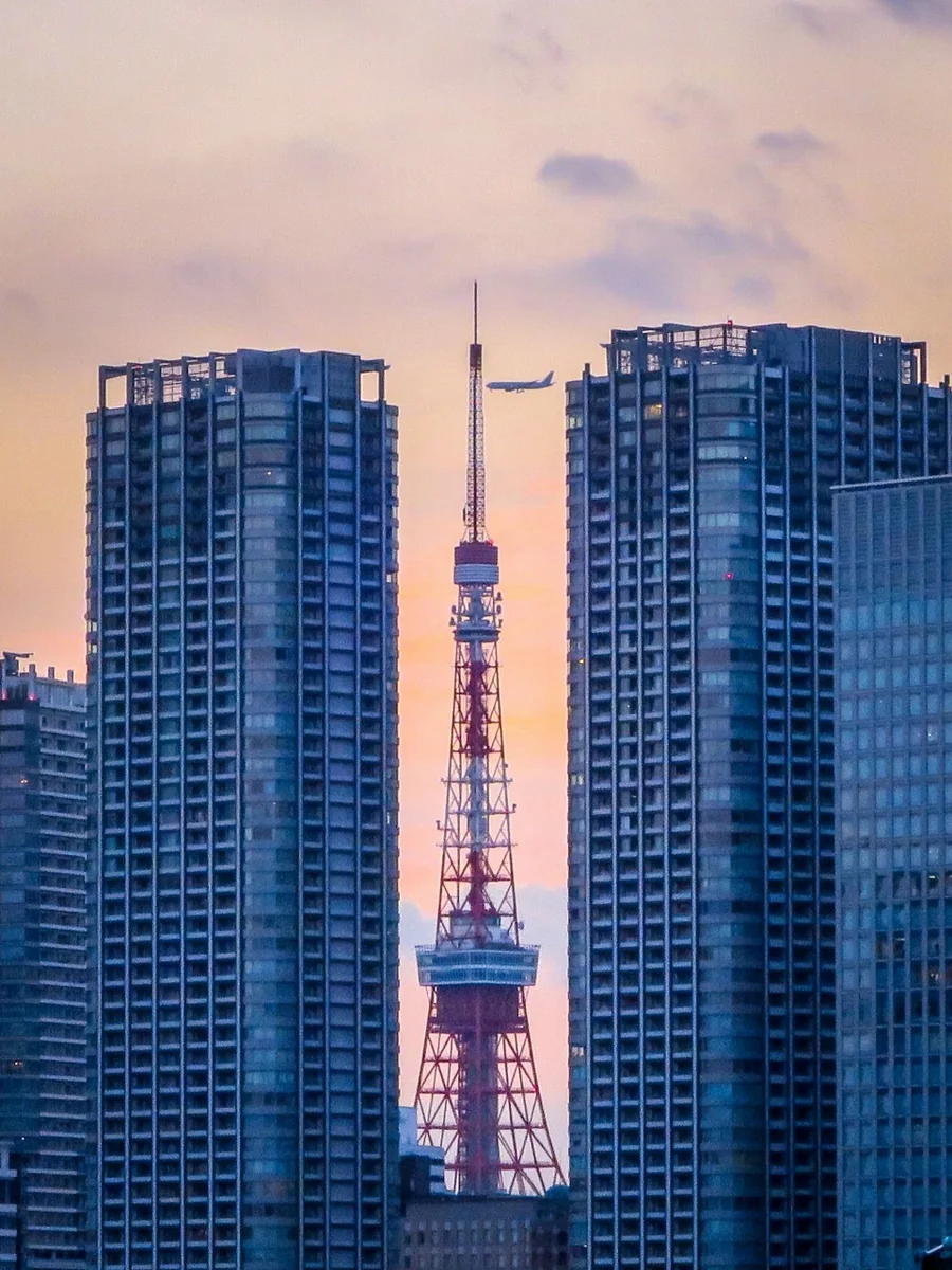 投稿写真：東京タワーと飛行機