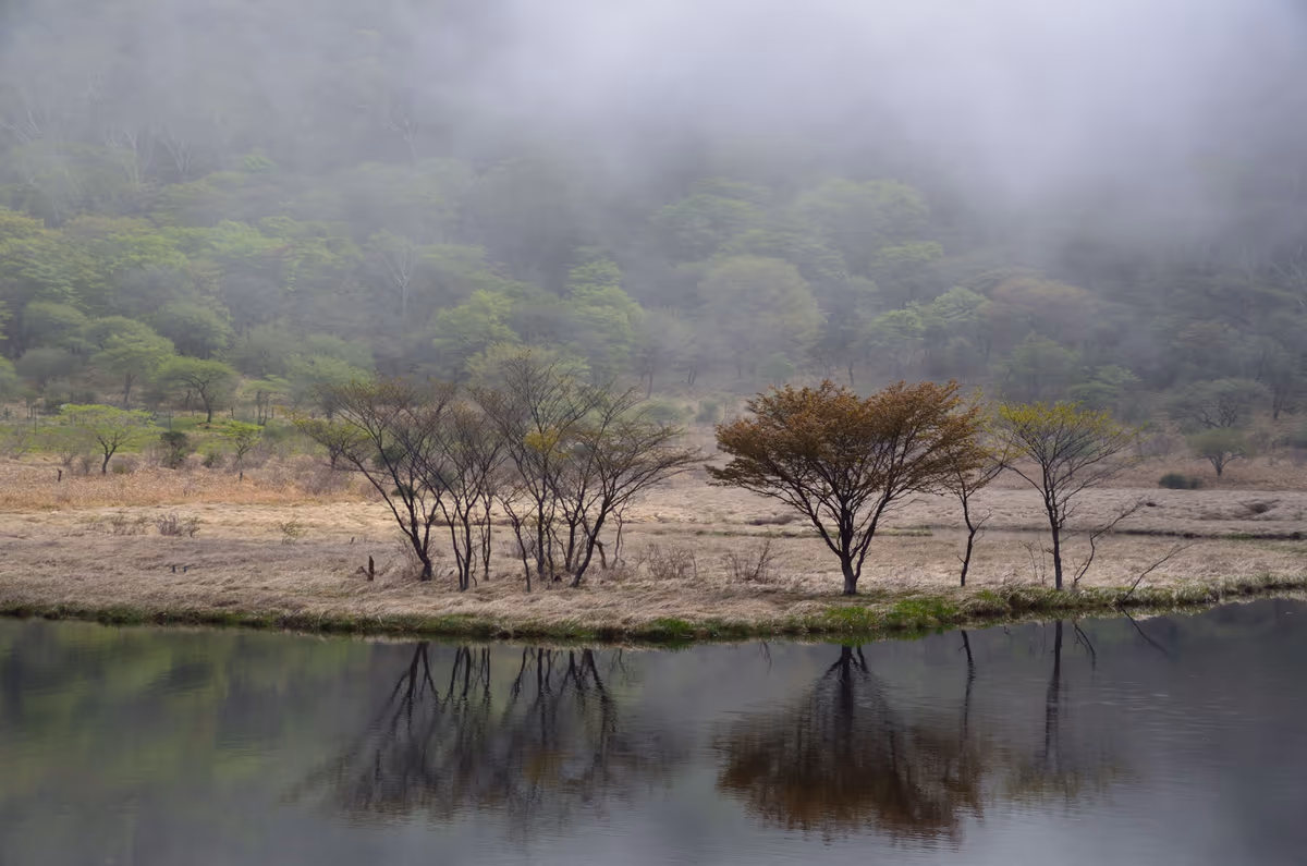 投稿写真：水辺の霧