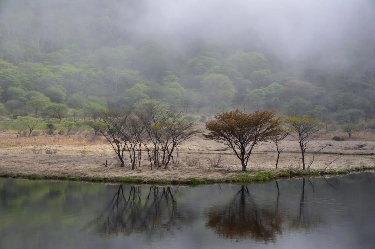 投稿写真：水辺の霧