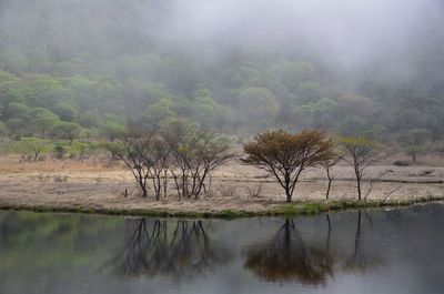 | 絶景事典