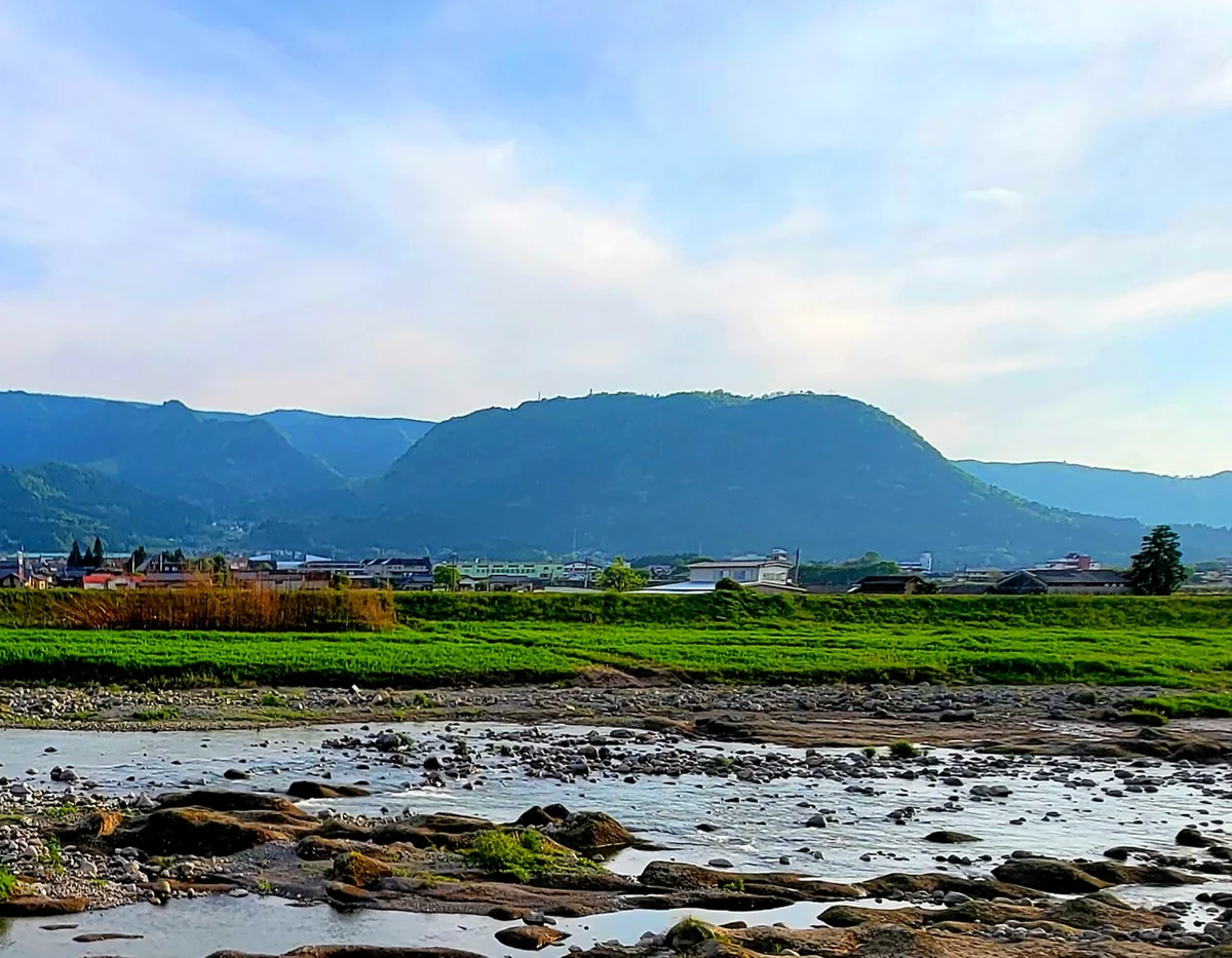 投稿写真：切株山