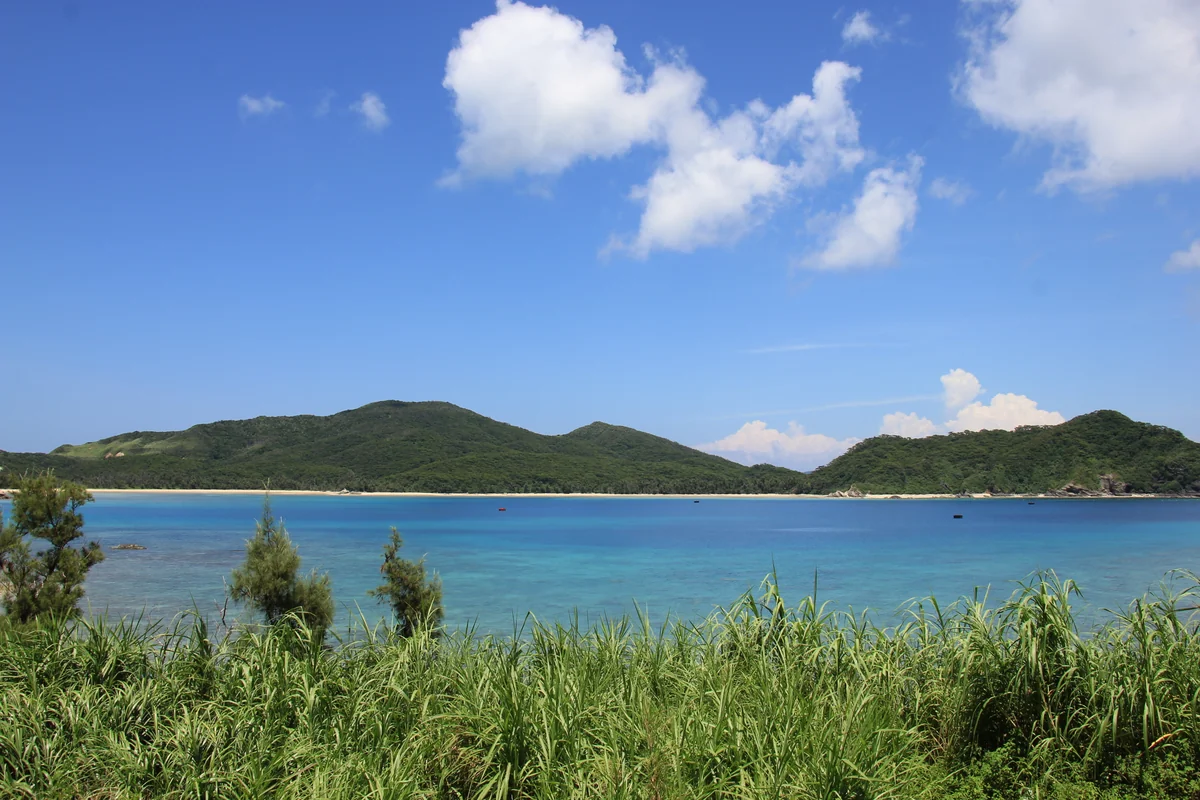 投稿写真：沖縄の原風景