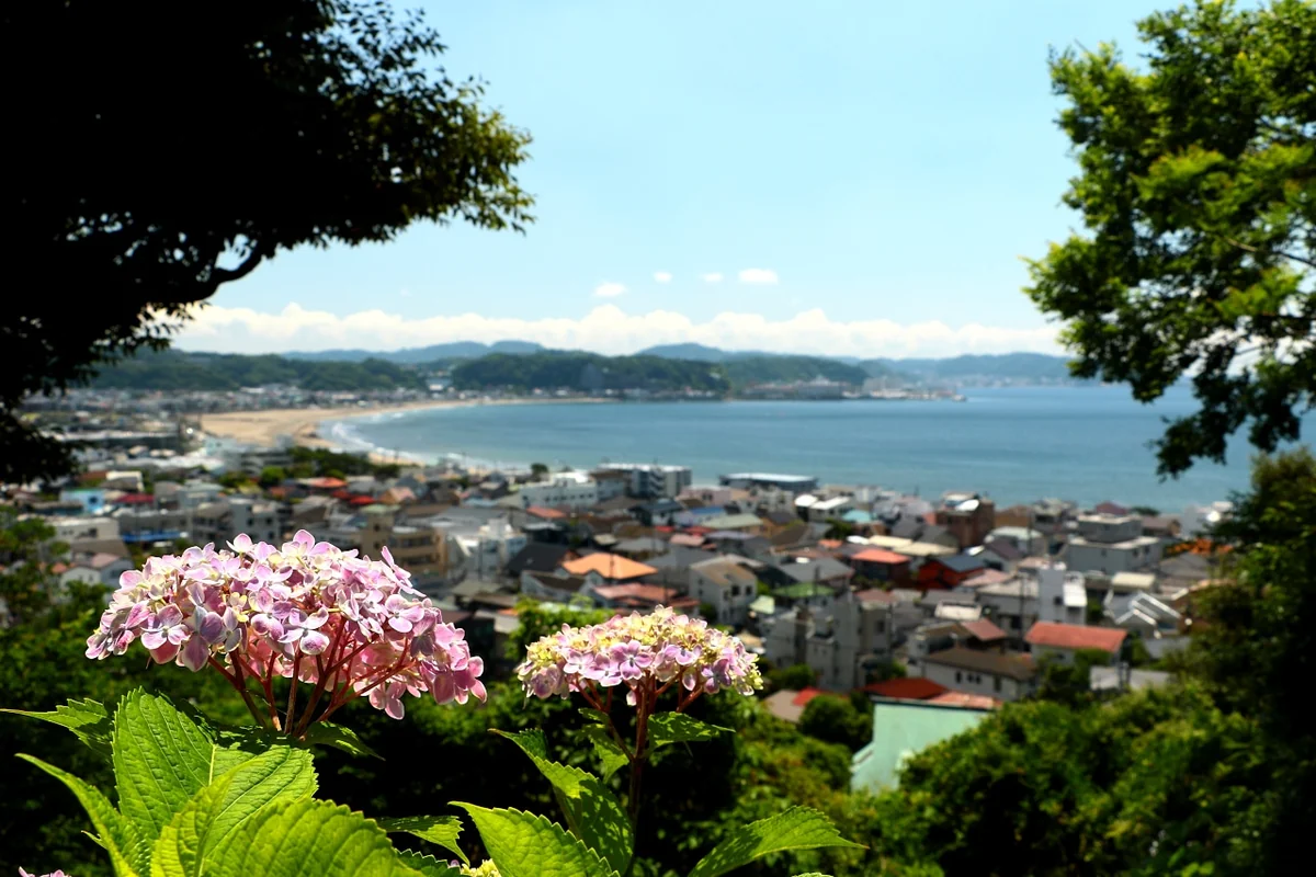 投稿写真：鎌倉を望む