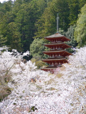  | 絶景事典