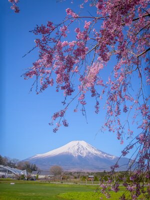  | 絶景事典