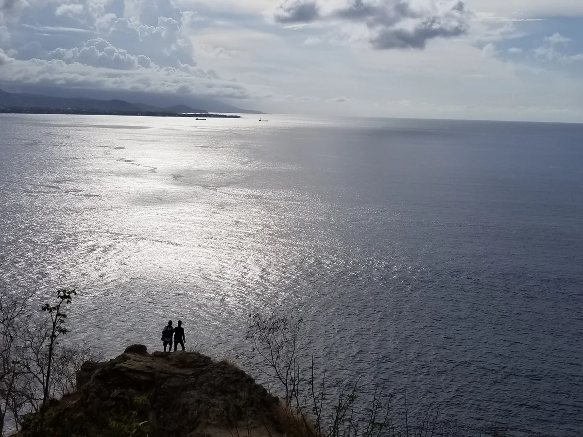 投稿写真：ディリ