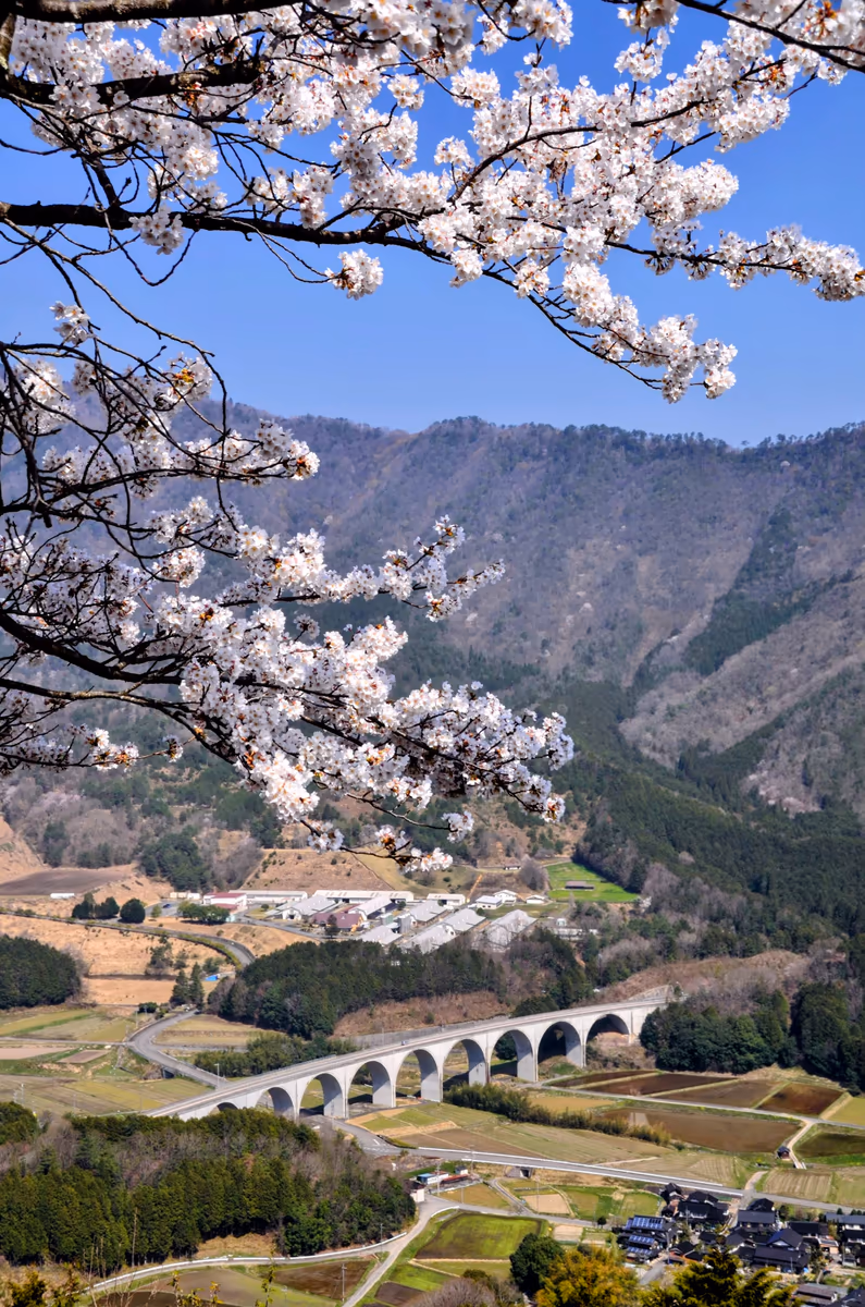 投稿写真：竹田城にて　虎臥城大橋