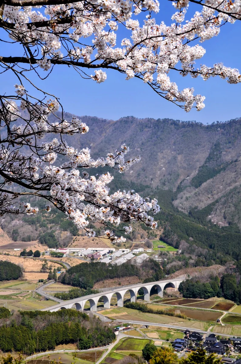 投稿写真：竹田城にて　虎臥城大橋
