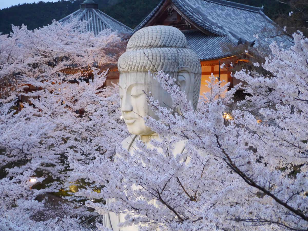 投稿写真：清少納言の「推し❣️」のお寺🌸壷坂寺