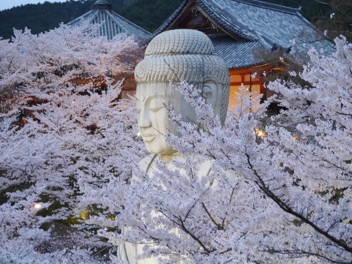 投稿写真：清少納言の「推し❣️」のお寺🌸壷坂寺