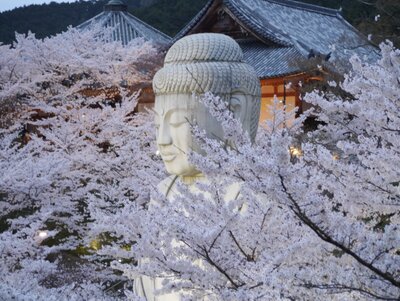  | 絶景事典