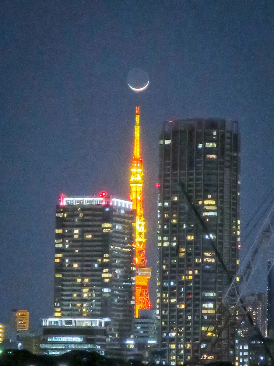 投稿写真：三日月パール東京タワー