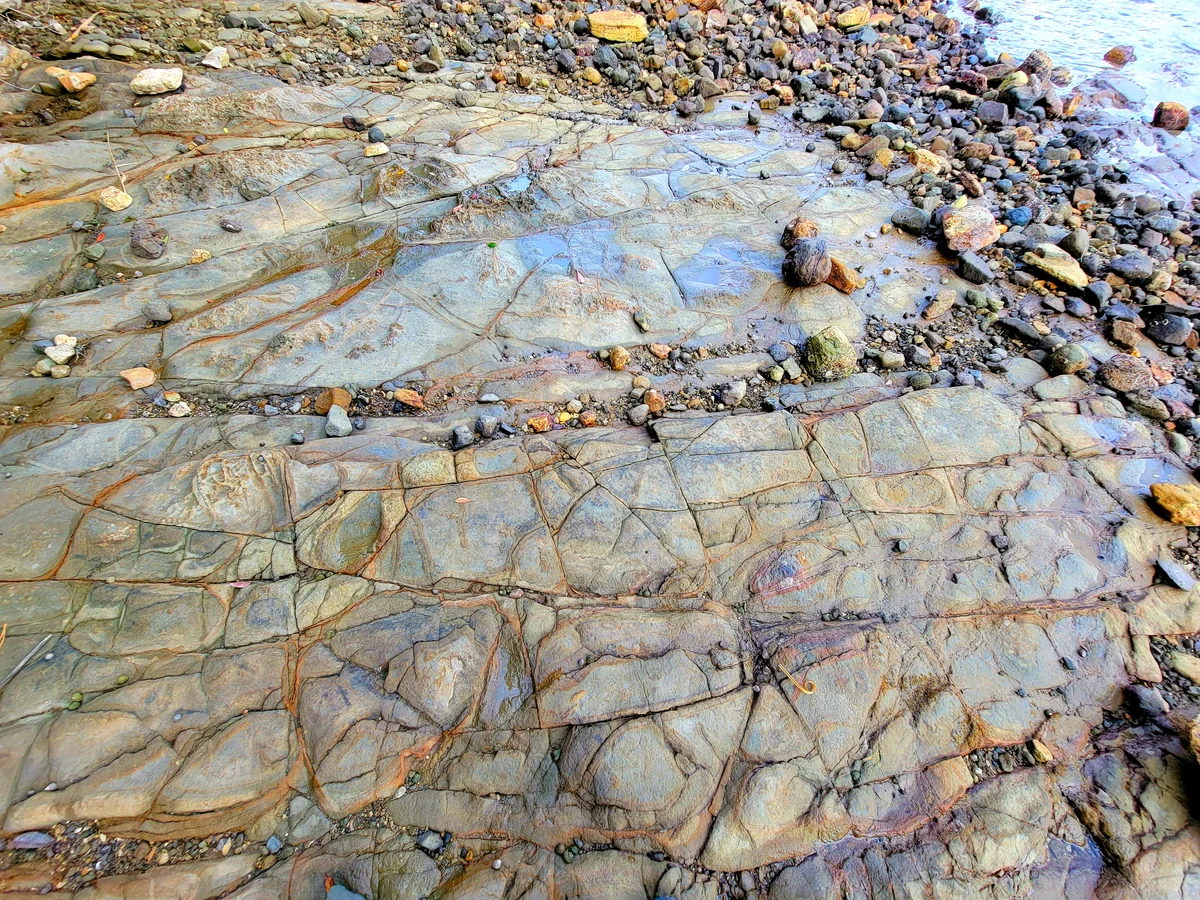 投稿写真：亀の甲みたーい