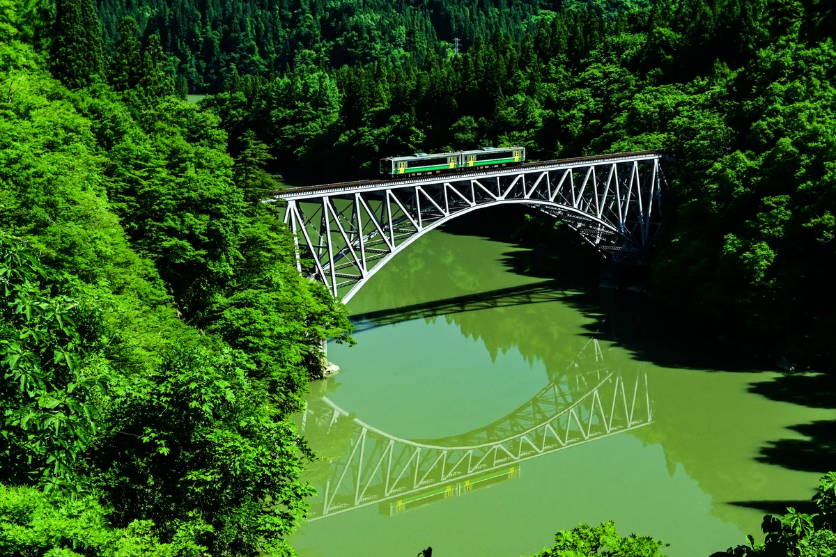 投稿写真：新緑のリフレクション