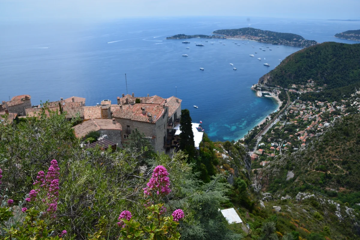 投稿写真：エズ