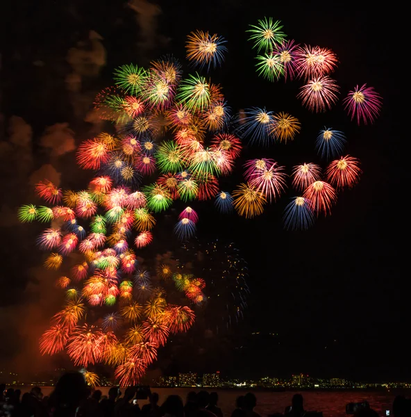 投稿：琵琶湖花火大会