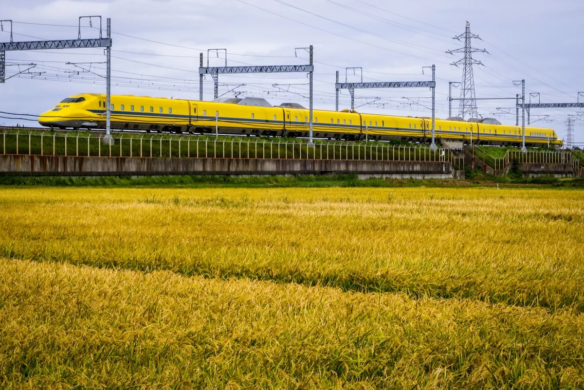 投稿写真：実りの秋のドクターイエロー